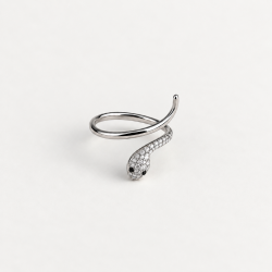 snaky silver ring